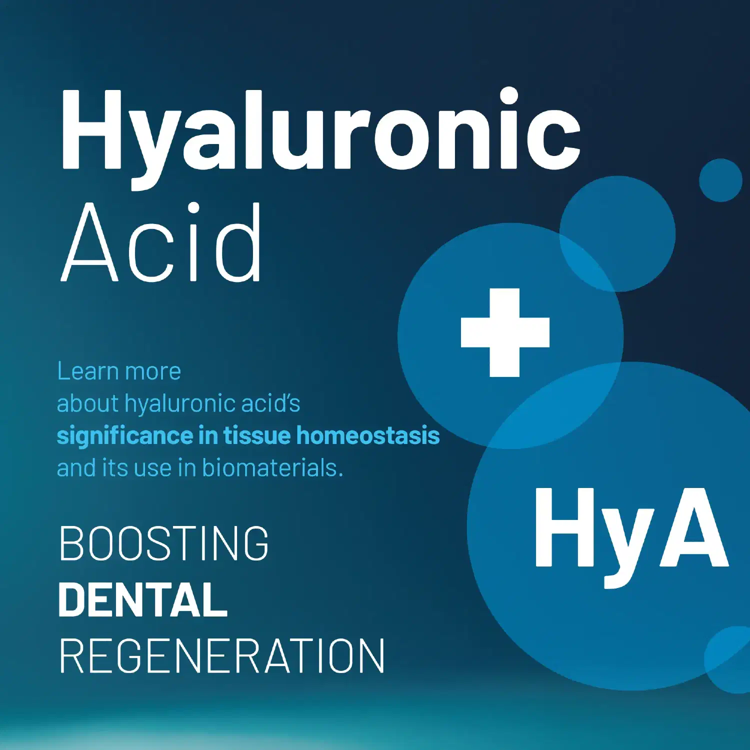 Hyaluronic acid – boosting dental regeneration