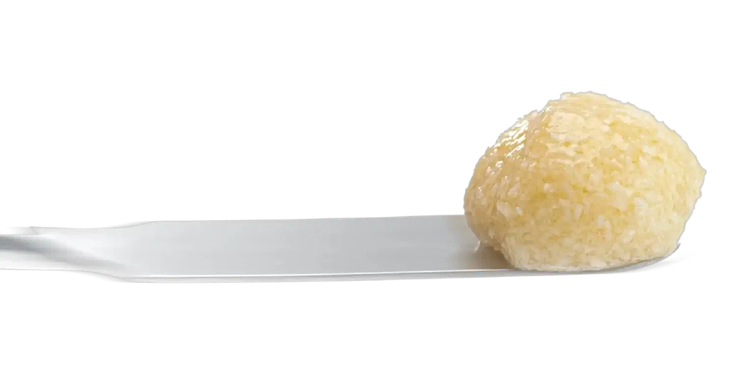 maxgraft® +HyA