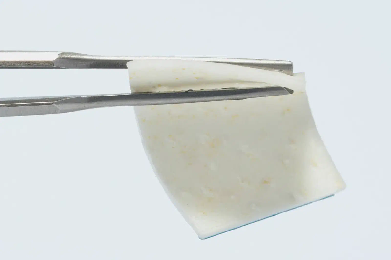 mucoderm® matrix mucoderm® matrix