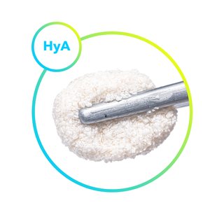 cerabone® +HyA