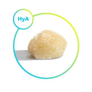 maxgraft® +HyA