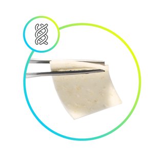 mucoderm®